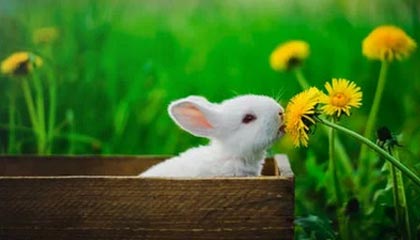 惺惺相惜，泰山队队长王大雷赛后主动安慰国安球员李磊